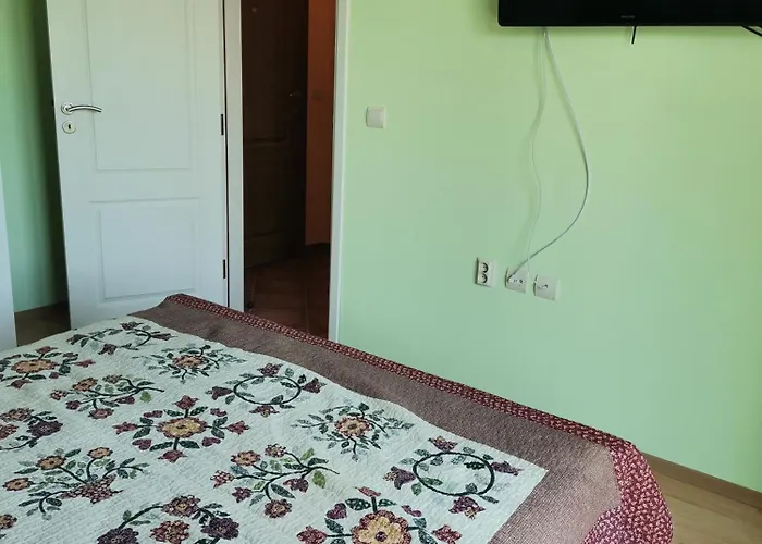 Complex - Egrek 5 * Lozenets