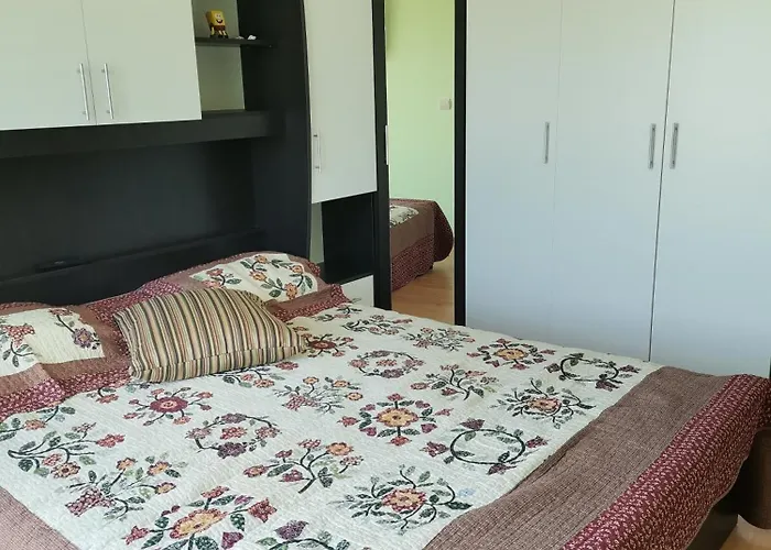 Complex - Egrek 5 Lozenets