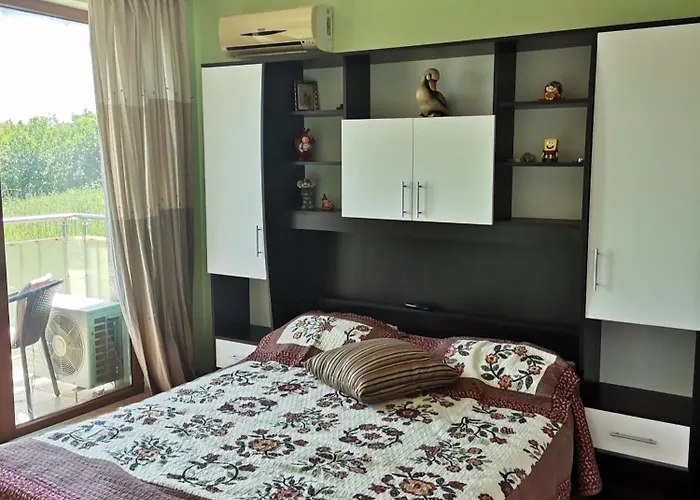 Complex - Egrek 5 Lozenets