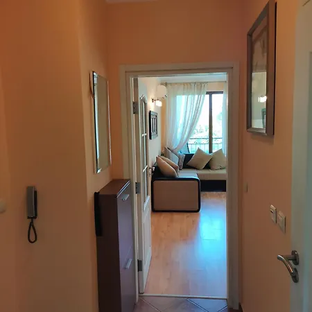 Complex - Egrek 5 Lozenets