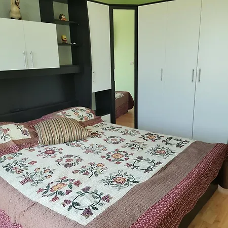 Complex - Egrek 5 Lozenets